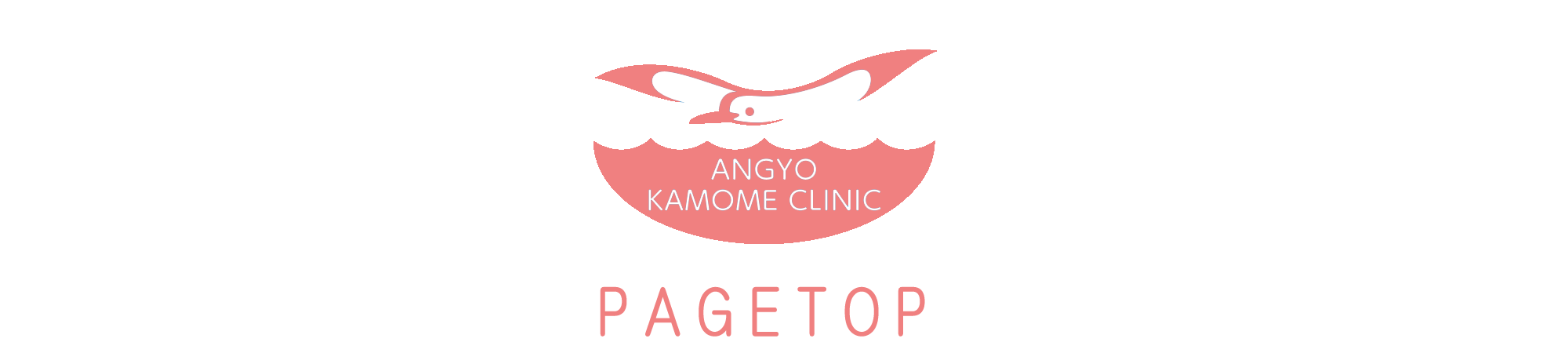 PAGE TOP